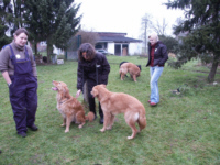 Anja und die Welpen